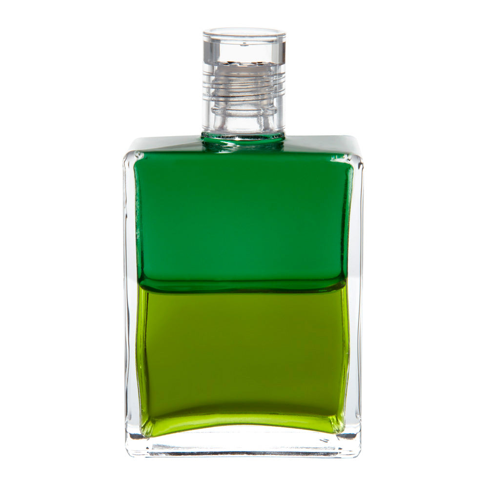 113 - Emerald Green / Midtone Olive